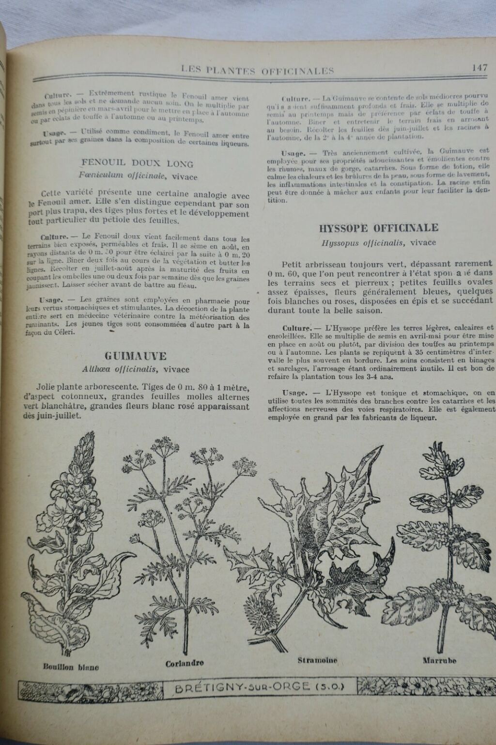 Guide to Gardening Techniques
