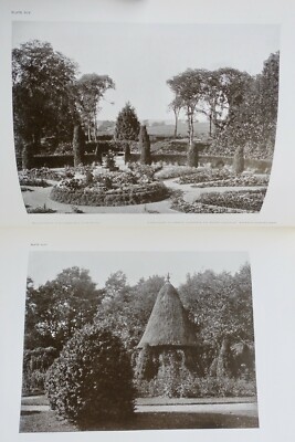 Englische Gärten in den Nordgrafschaften - Image 8