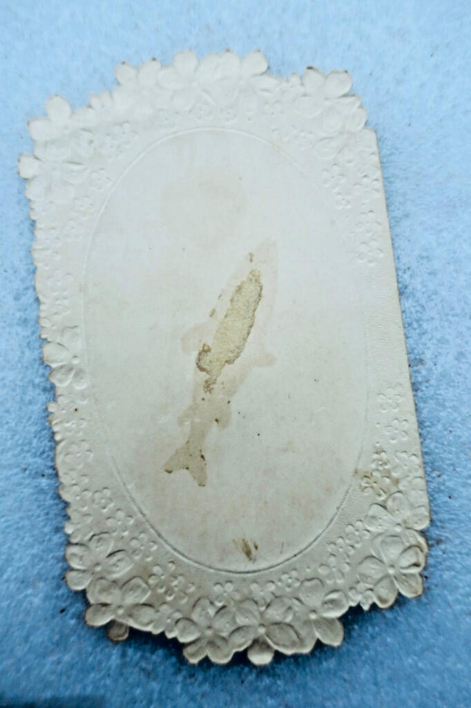 jeune fille IMAGE Gauffré Embossed 100 x 165 mm.