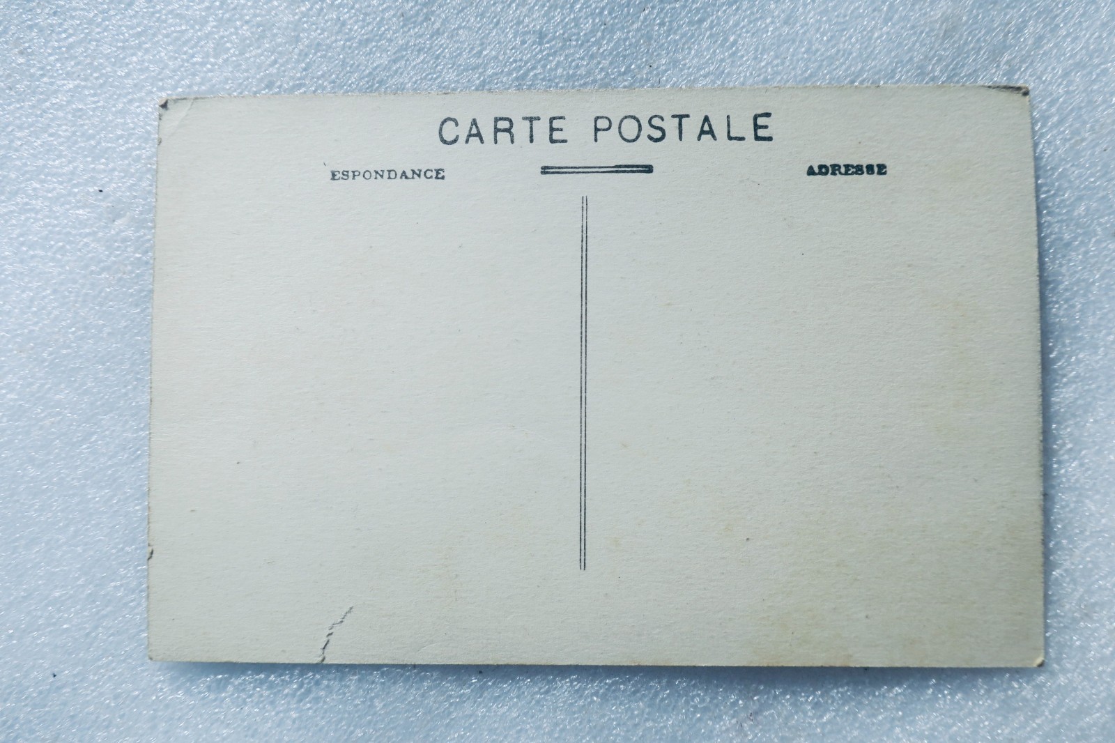 jeunes taureaux gascons à muqueuses noires expédiées en Afrique - La Librairie Antique