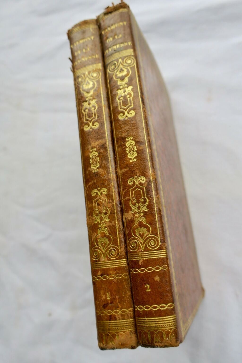 Virtue Triumphant: A Youth's Moral Guide