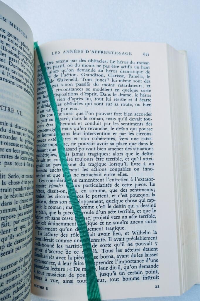 Goethes Romane - Pléiade-Ausgabe