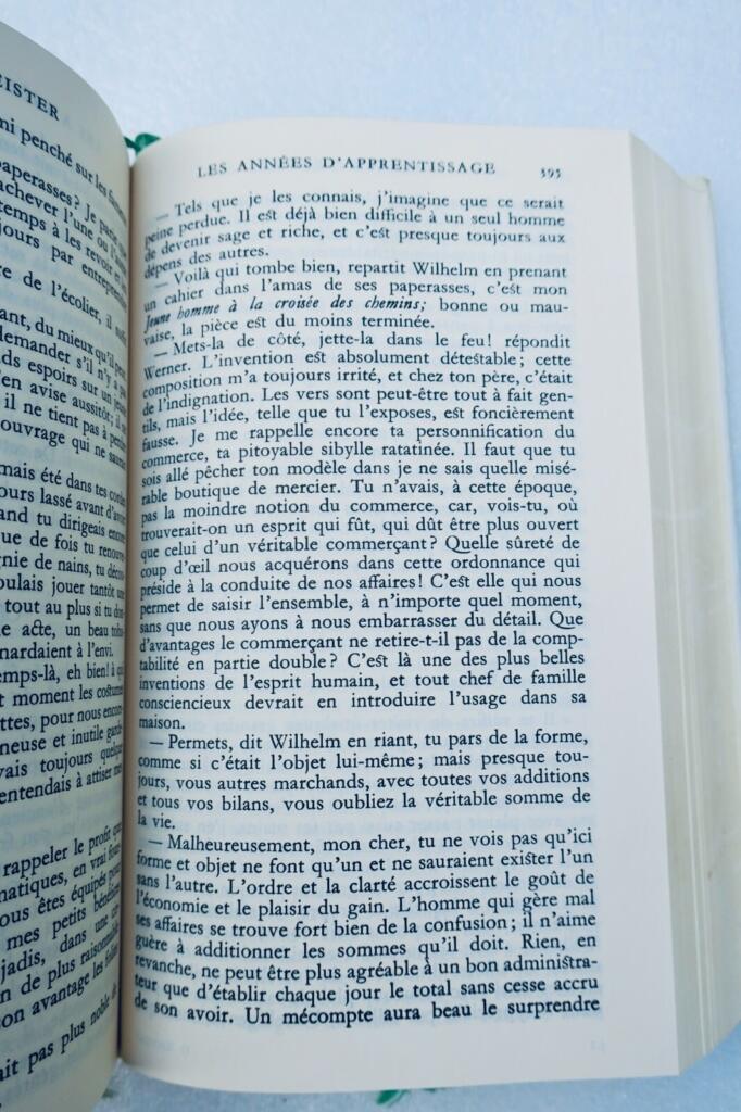 Goethes Romane - Pléiade-Ausgabe