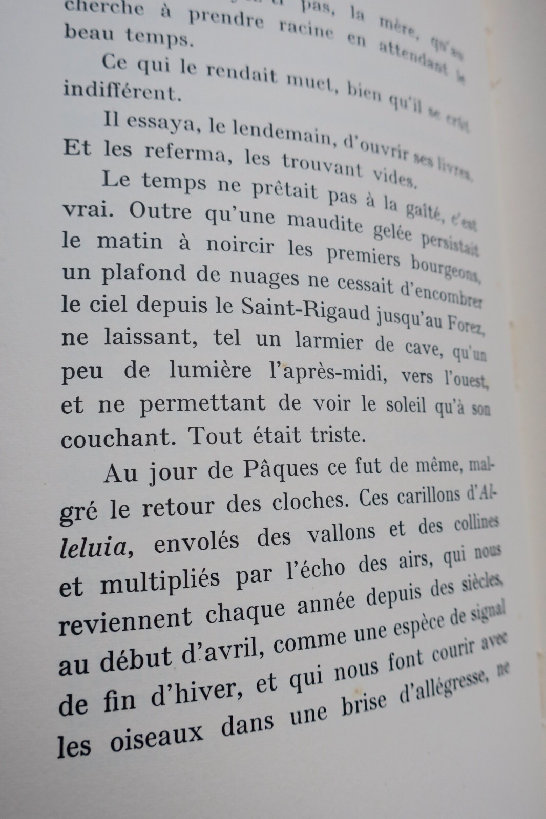 Marie de Bourgogne mit Radierungen illustriert - Image 7