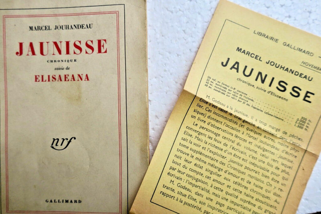Chronicle of Jaunisse with Dedication