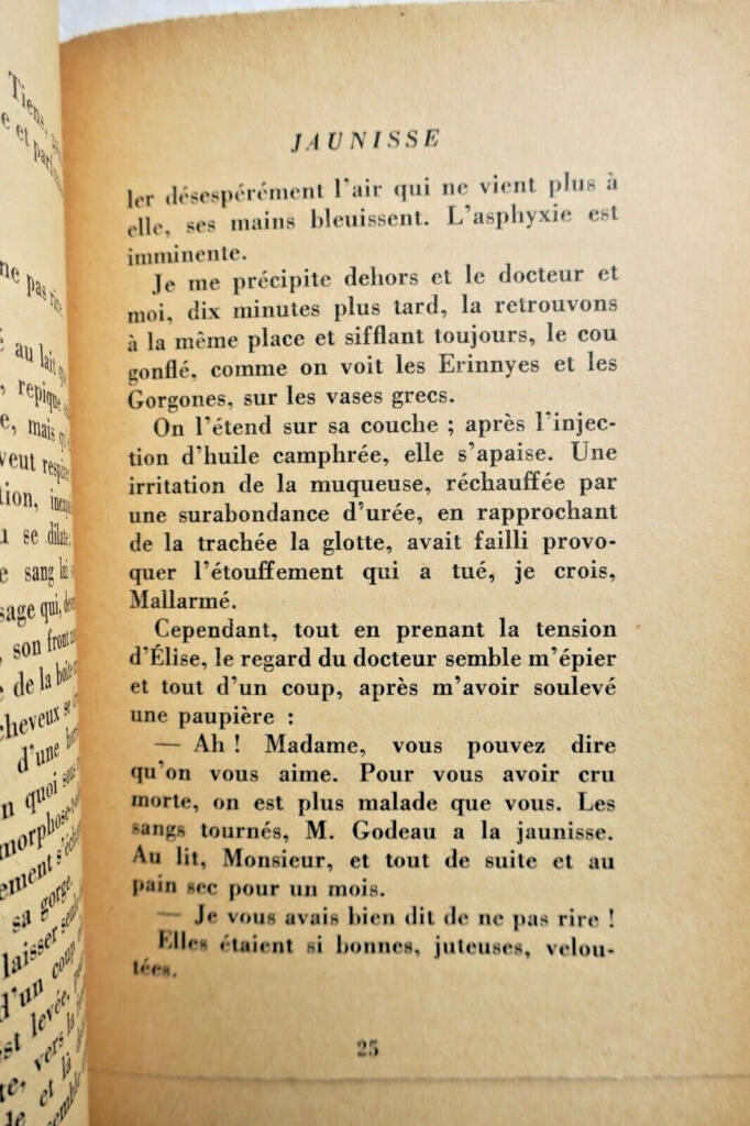 Chronicle of Jaunisse with Dedication