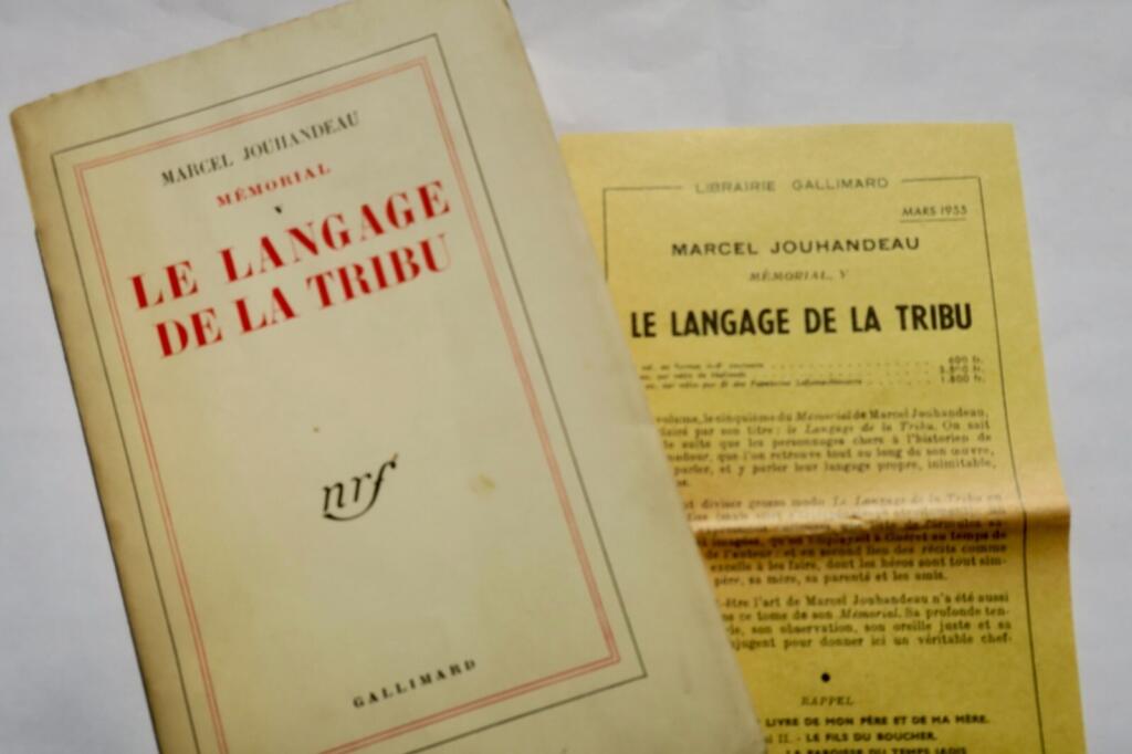 Sprache einer Stammesgemeinschaft