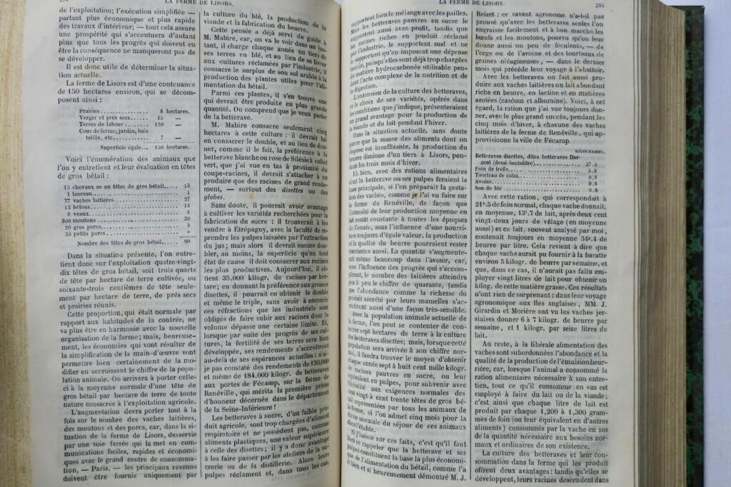 Praktisches Agrarjournal von 1874