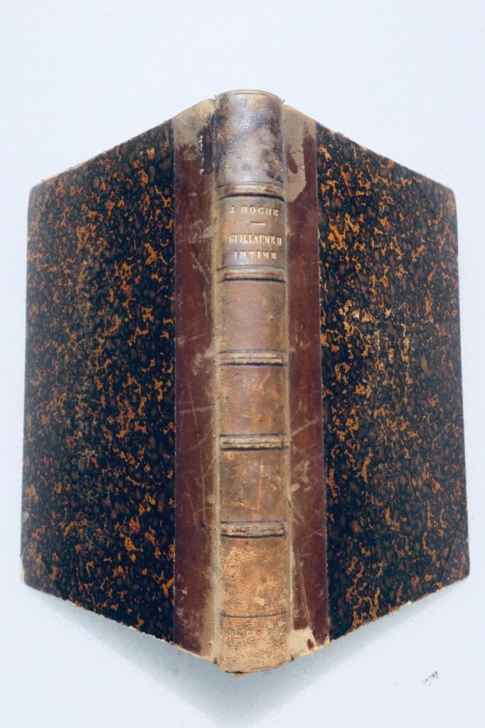 kaiser Jules HOCHE L’EMPEREUR GUILLAUME II INTIME