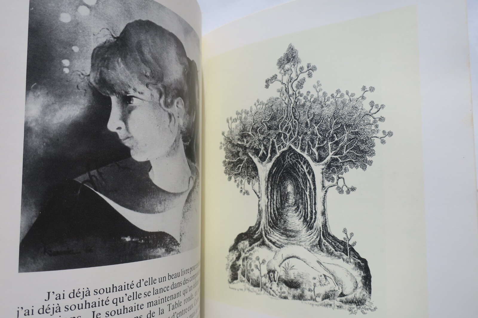 「白鼬の貴婦人」:ブルターニュの物語 - Image 3