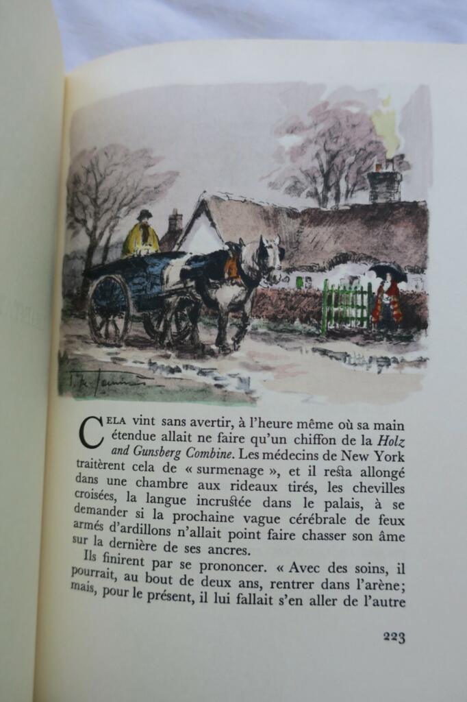 Der Verkehrsstörer