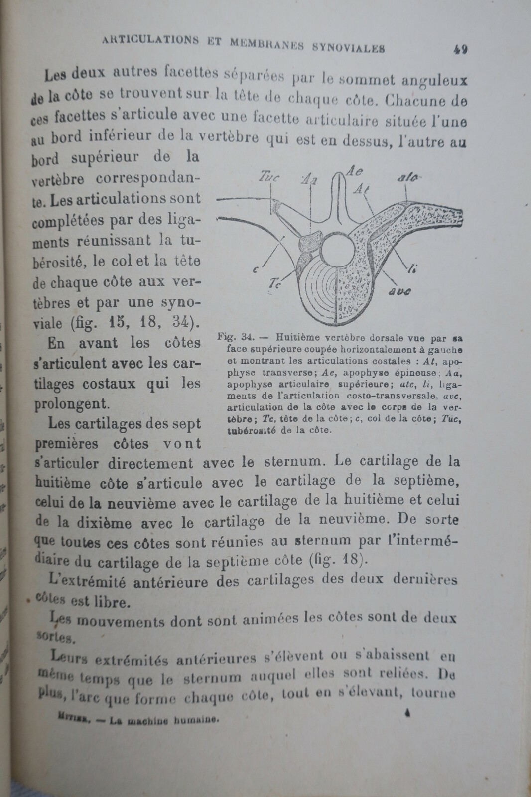 Human Machine: Anatomy and Physiology - Image 5