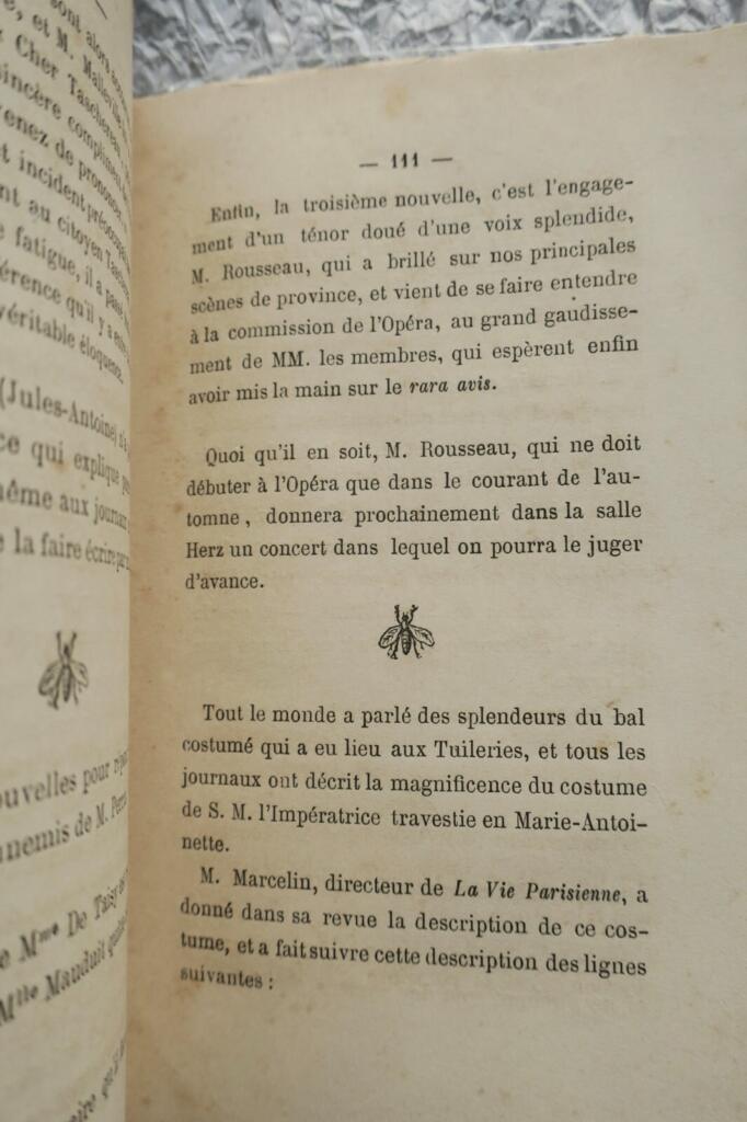 La mouche 1866