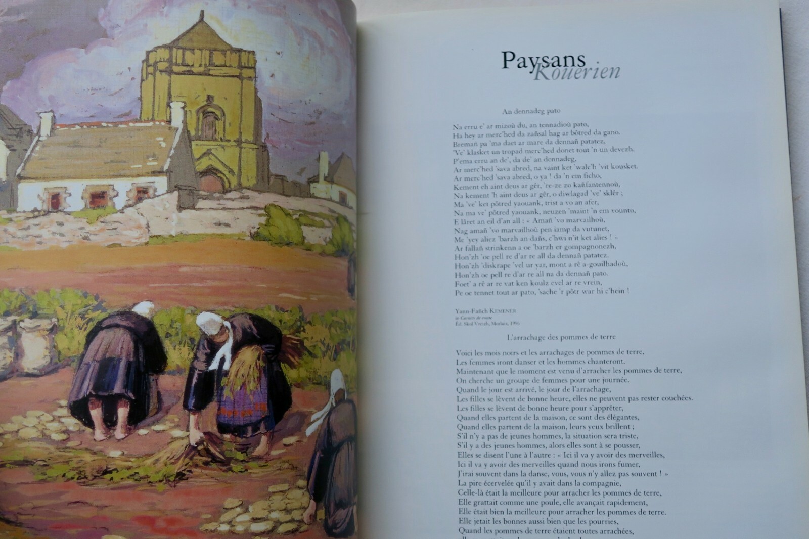 Breton Muse: Art Collections Overview - Image 6