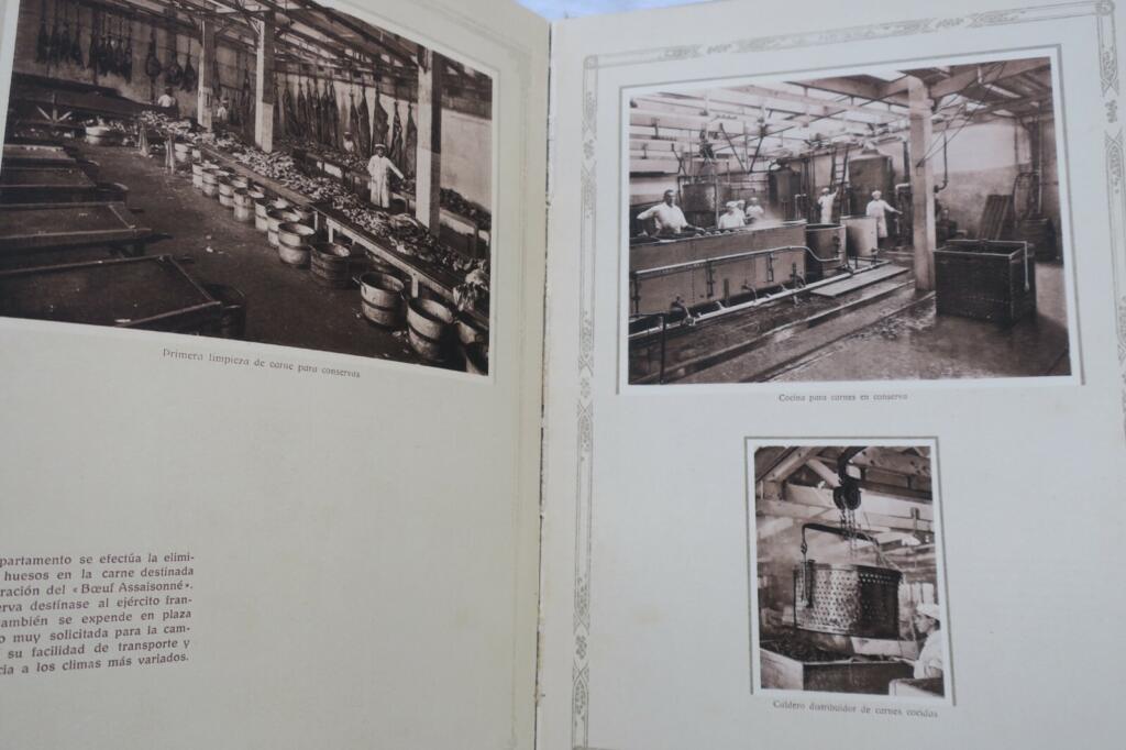 Das schwarze Schiff: Gefrorenes Fleisch 1918