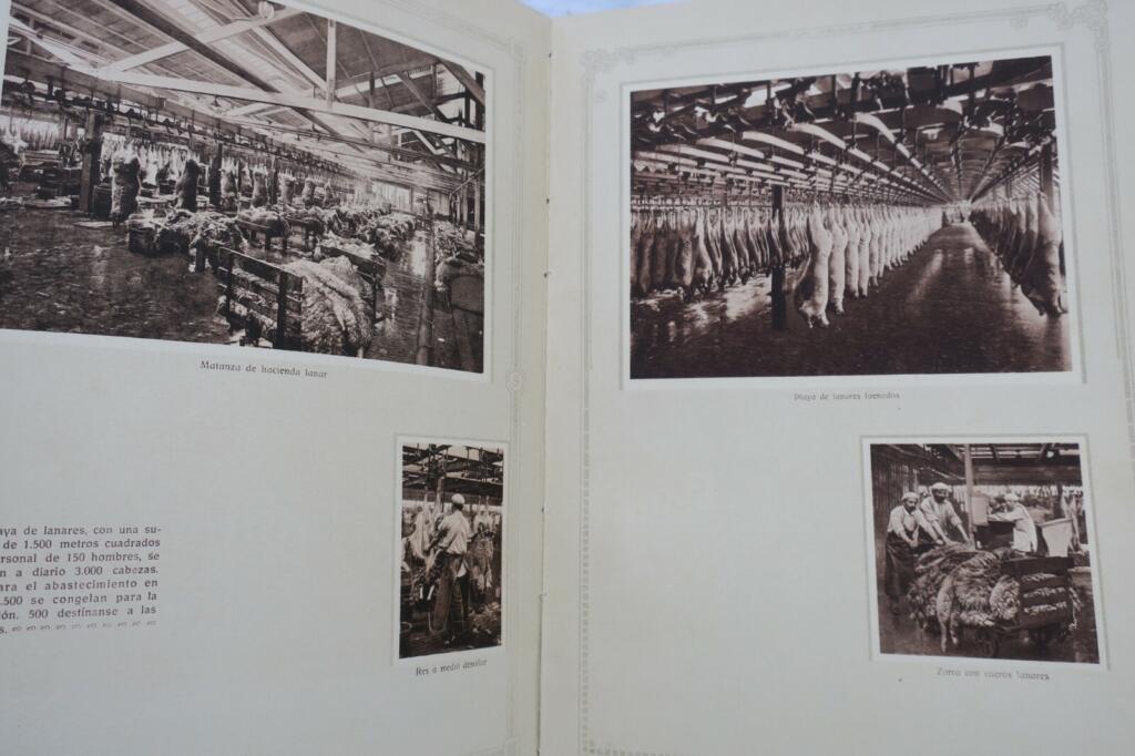 Das schwarze Schiff: Gefrorenes Fleisch 1918