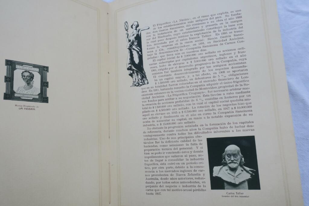 Das schwarze Schiff: Gefrorenes Fleisch 1918