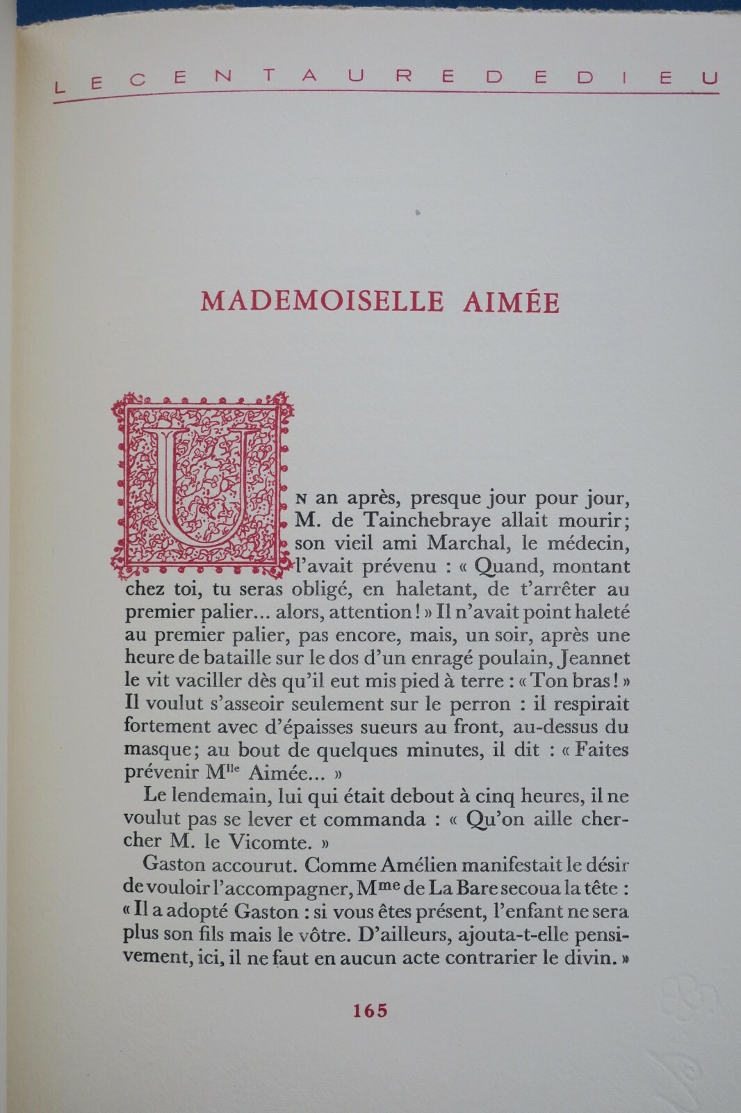 Der Zentaur Gottes - Image 3