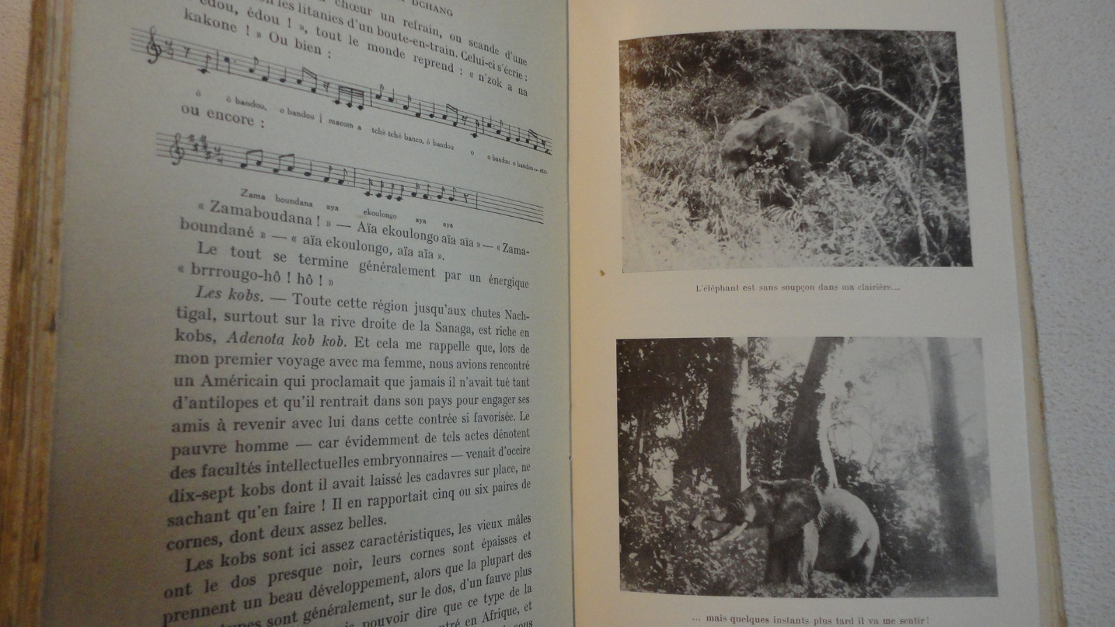 Wildlife life in Cameroon<span class="lla-card-orig-wrap"><span class="lla-card-orig">❦ la vie des animaux sauvages au cameroun Dr Gromier 1937</span></span> - La Librairie Antique