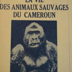 la vie des animaux sauvages au cameroun Dr Gromier 1937