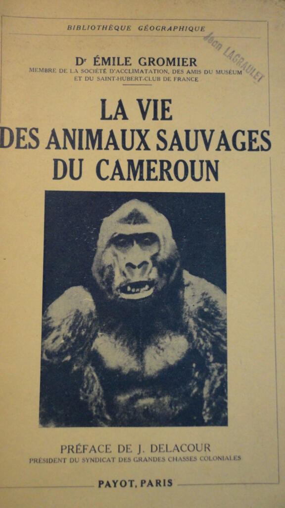 Cameroon Wildlife Expedition Documentation