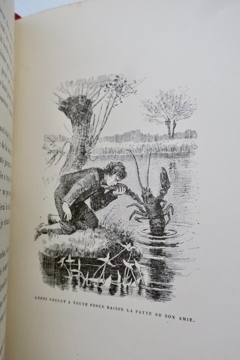Laboulaye, Edouard. Últimos Cuentos Azules. Gagliuso - El Lobo Y La Cabra... – Image 3