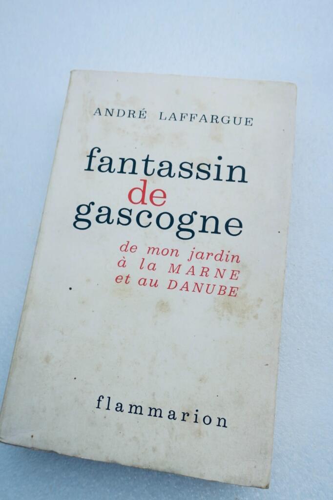 Military memoir: WWI to post-war France