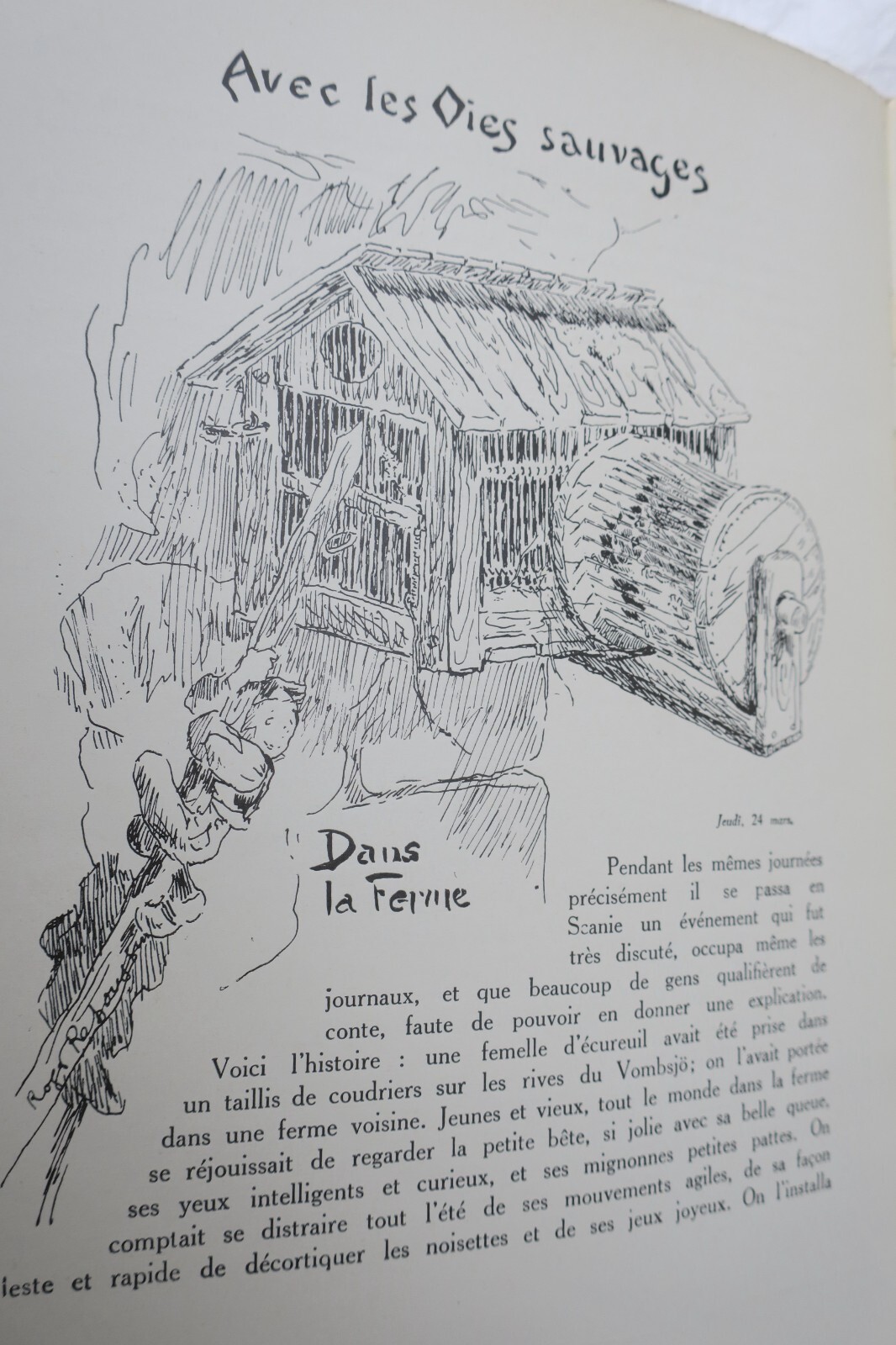 Faszinierende Reise durch Schweden - Image 6