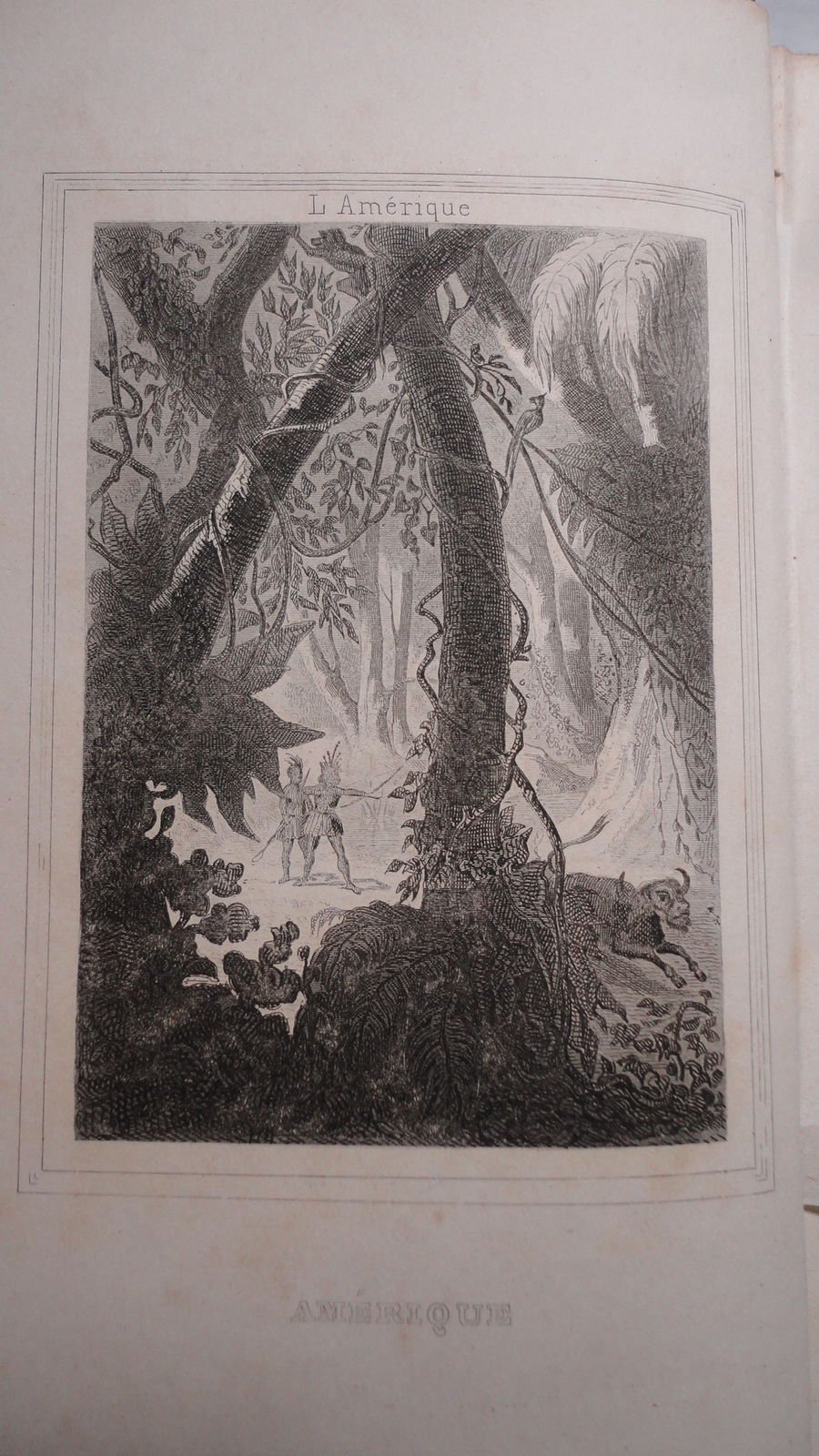 L'AMERIQUE D'APRES LES VOYAGEURS LES PLUS CELEBRES 1859 – Image 3