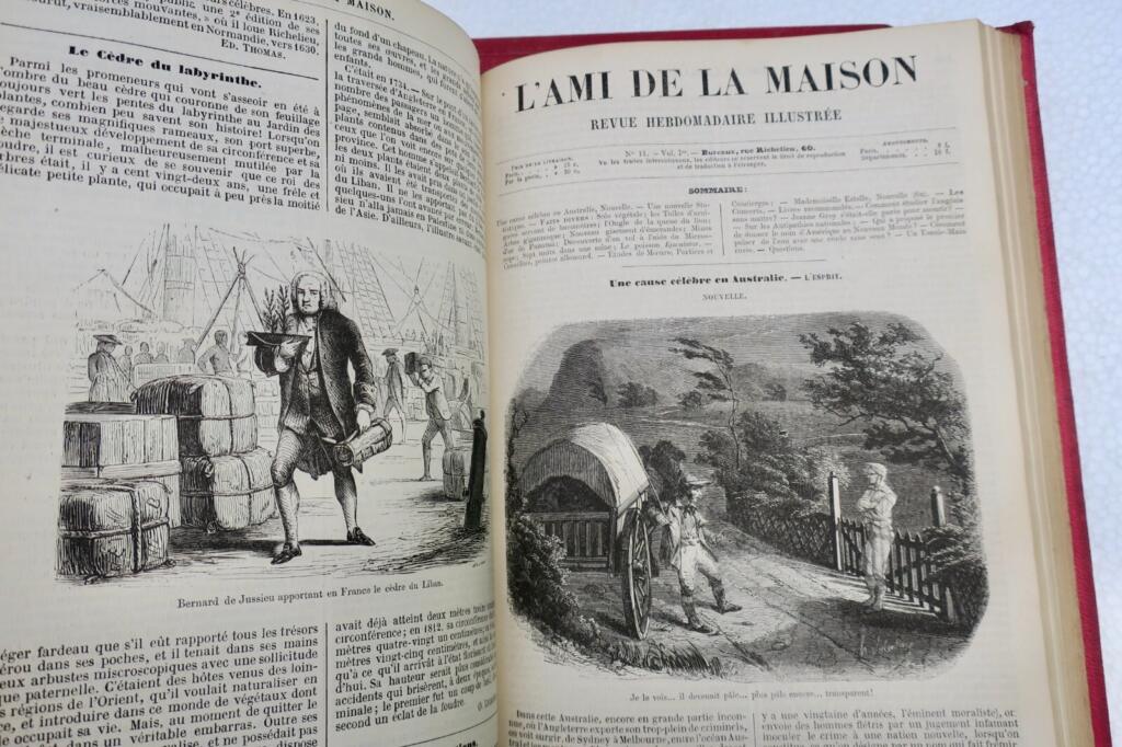 L’Ami de la maison, année 1856 complet