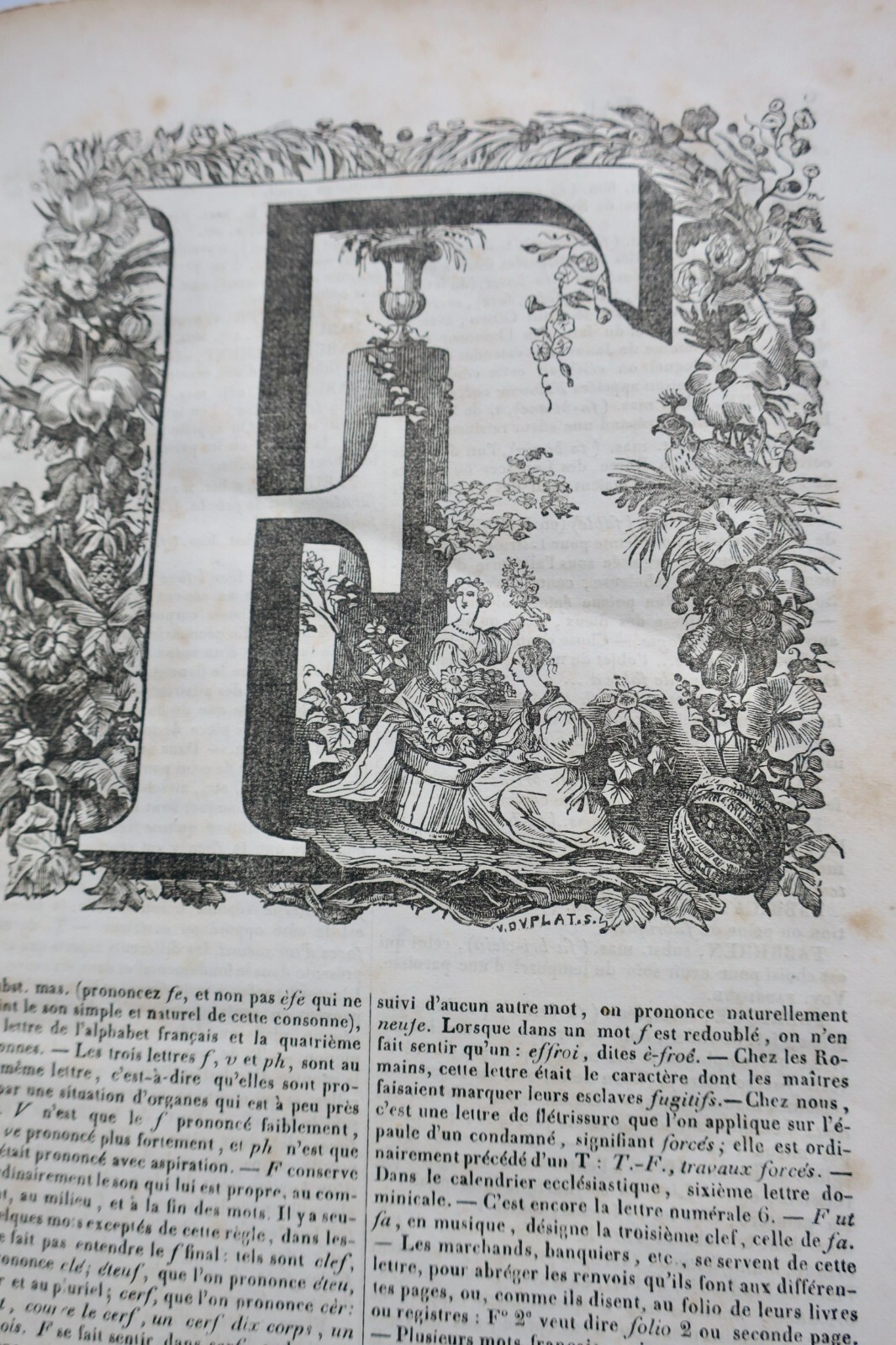 Umfassendes französisches Wörterbuch mit grammatikalischer Analyse - Image 11