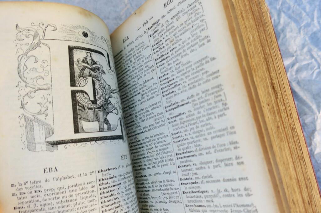 Concise Dictionary of French Dictionaries