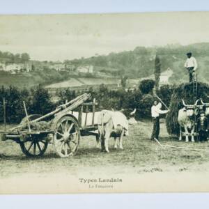 LANDES attelage types landais la fenaison