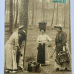 Landes résinières faisant la causette
