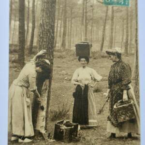 Landes résinières faisant la causette