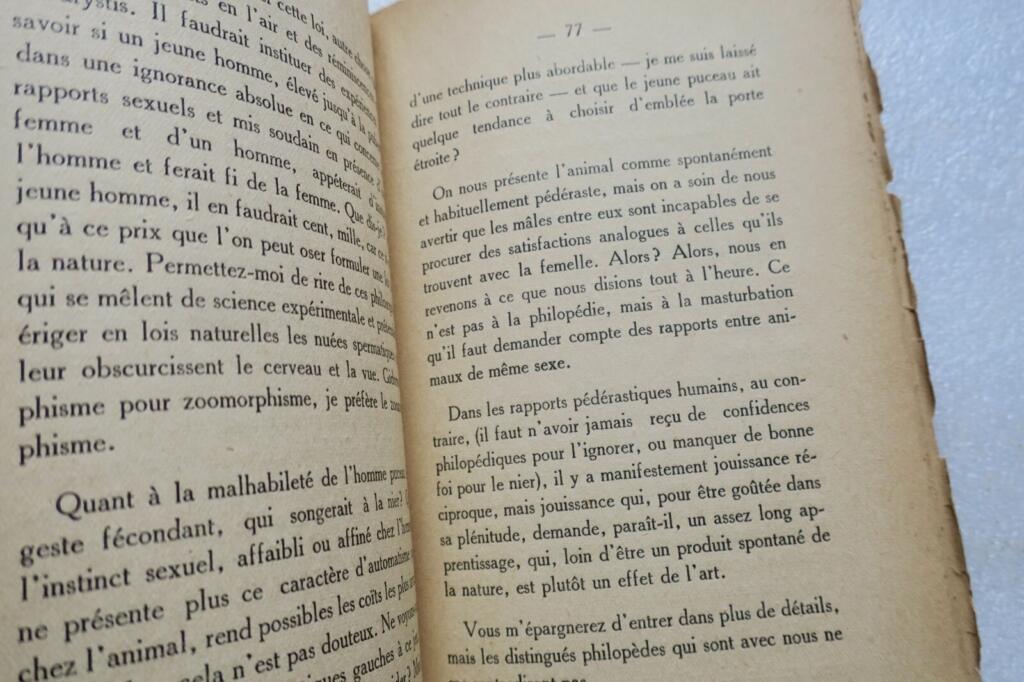 Essay über sexuelle Inversion