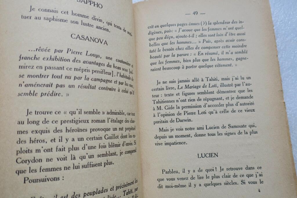 Essay über sexuelle Inversion