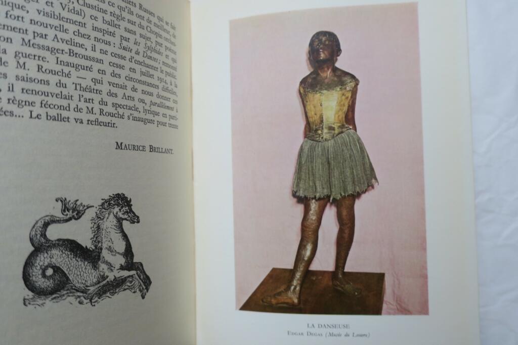 L&rsquo;art du Ballet des origines a nos jours