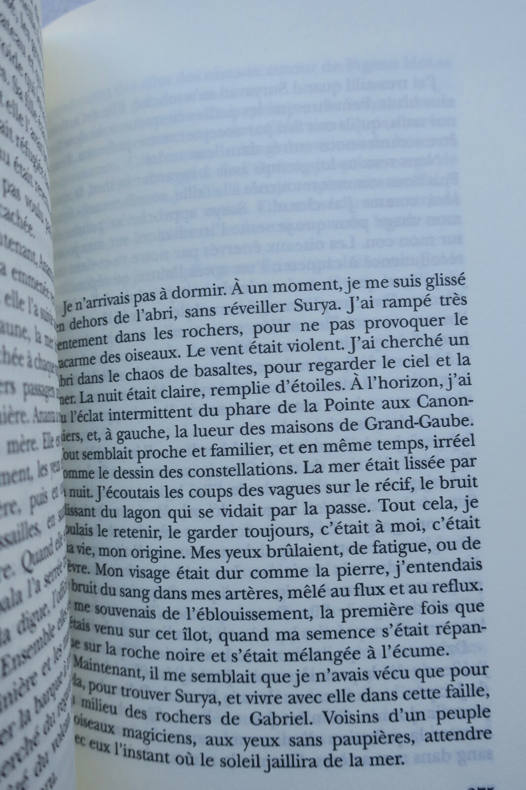 人間の経験を探求する小説<span class="lla-card-orig-wrap"><span class="lla-card-orig">❦ LE CLEZIO LA QUARANTAINE GALLIMARD 1995</span></span> - La Librairie Antique
