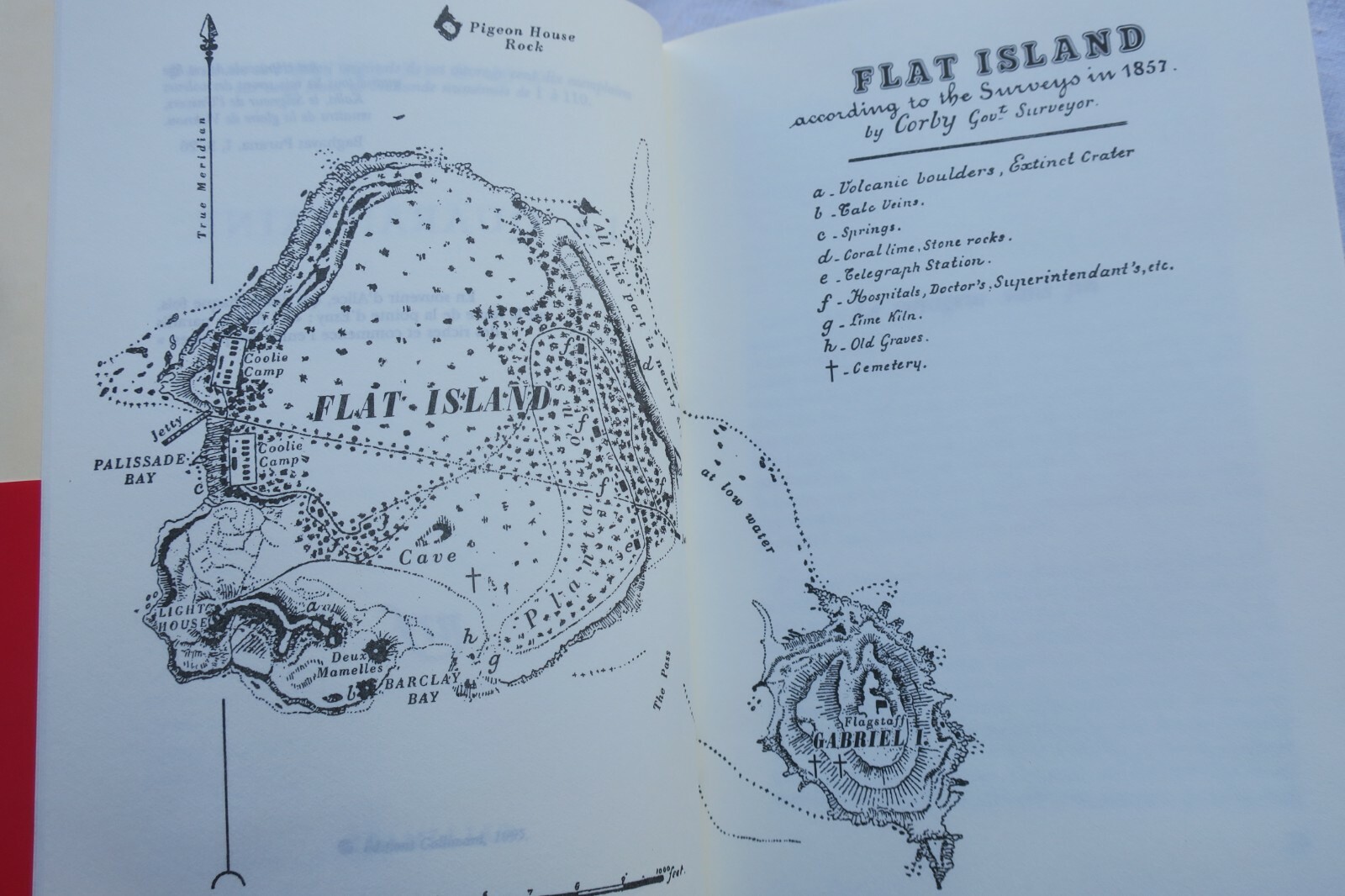 A novel exploring human experiences - Image 7