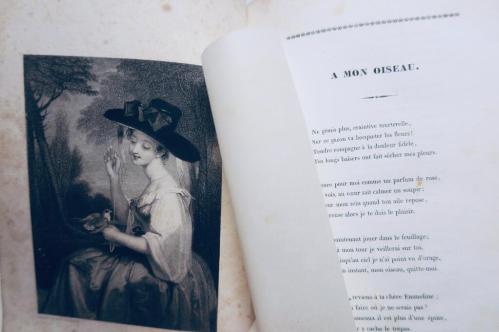 Erinnerungen an die zeitgenössische Literatur