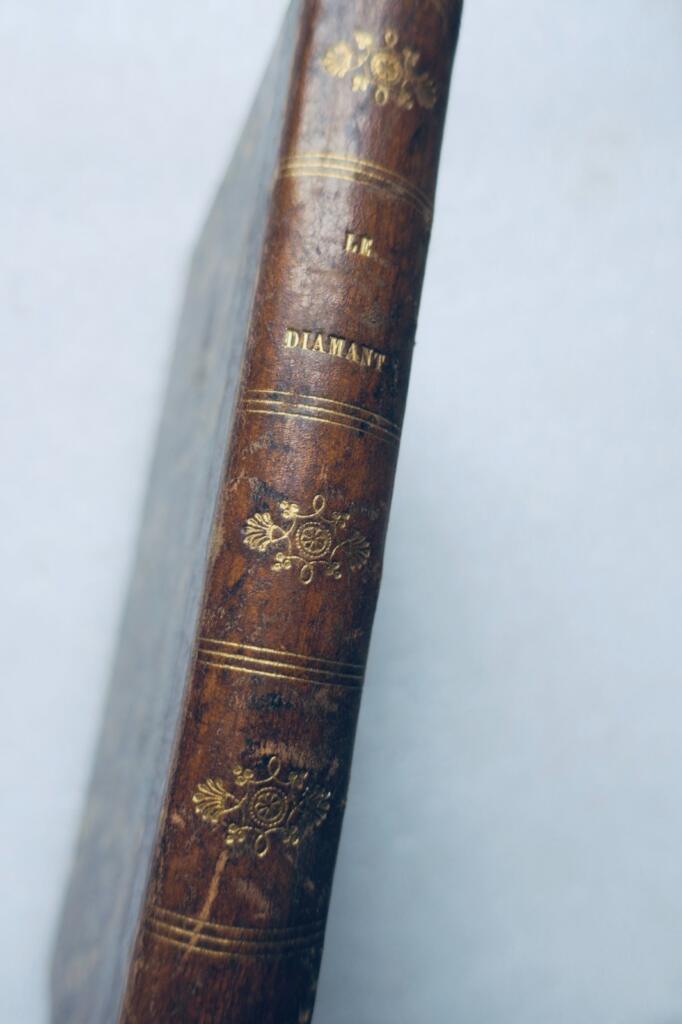 Erinnerungen an die zeitgenössische Literatur