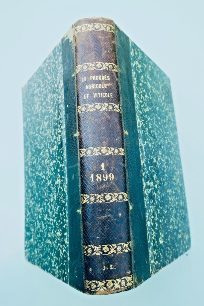 农业与葡萄栽培进展 1899年