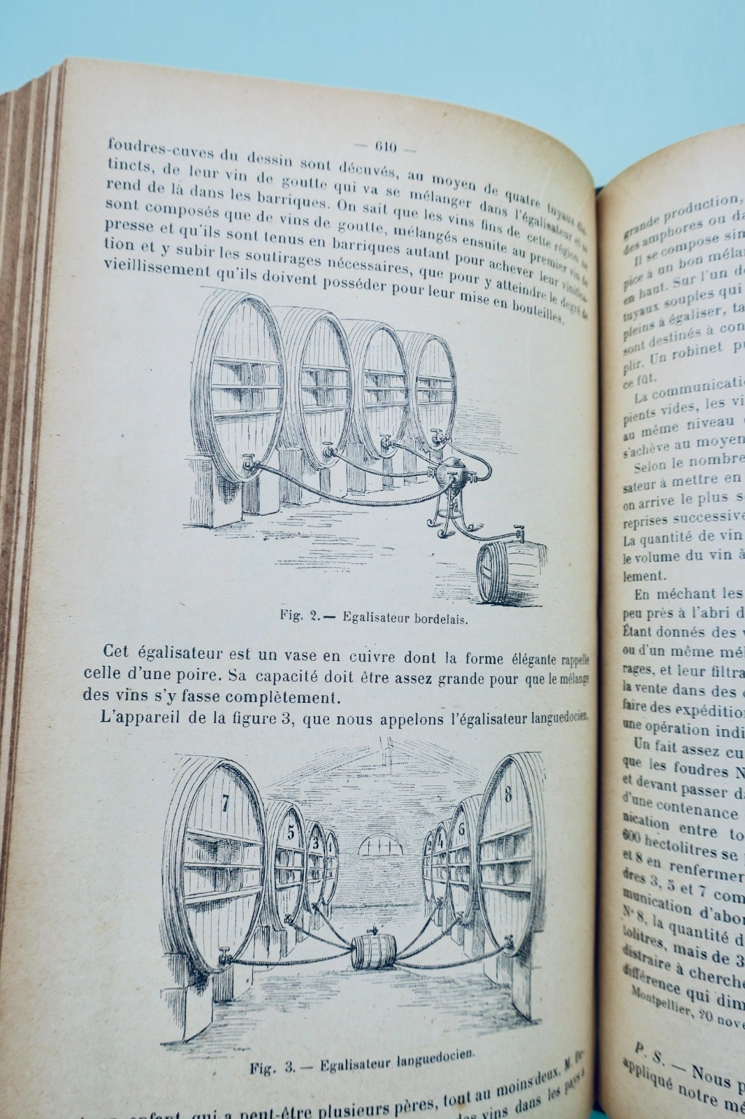 Agricultural & Viticultural Progress 1901 (2nd Half) - Image 4