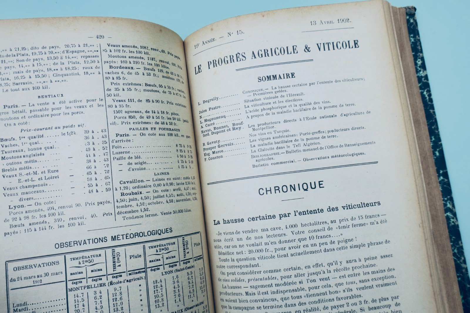 Agricultural and Viticultural Progress 1902 - Image 7