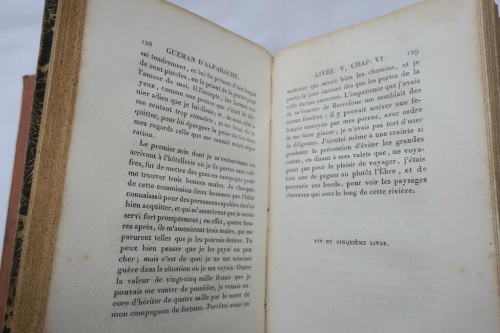 Die Geschichte von Guzman d'Alfarache