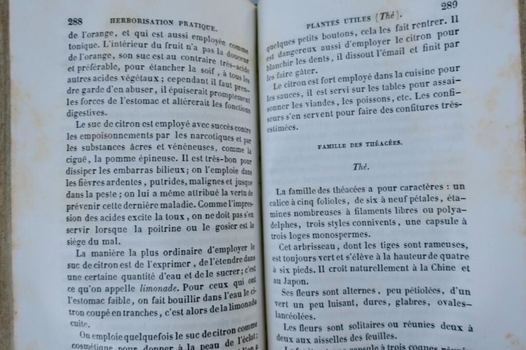 Botanical Lessons for Young Readers 1840
