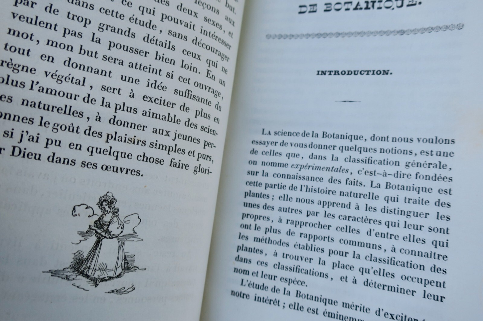 Botanical Lessons for Young Readers 1840 - Image 10