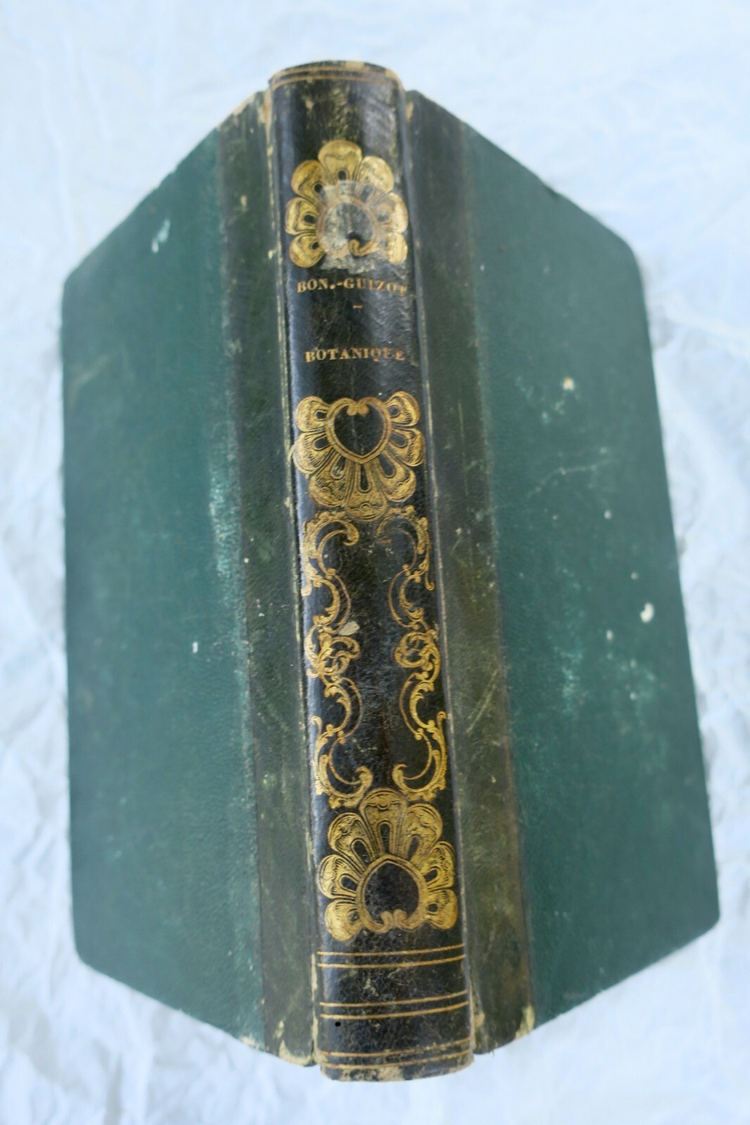 Botany Lessons for Young Readers 1840 - Image 11