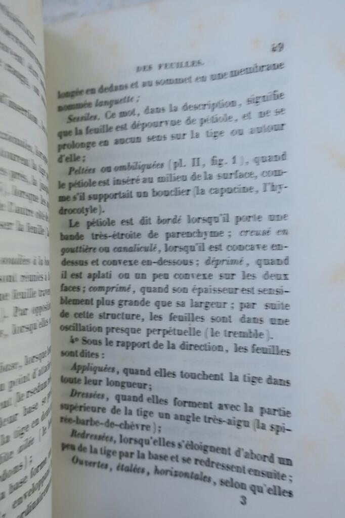 Botanical Lessons for Young Readers 1840